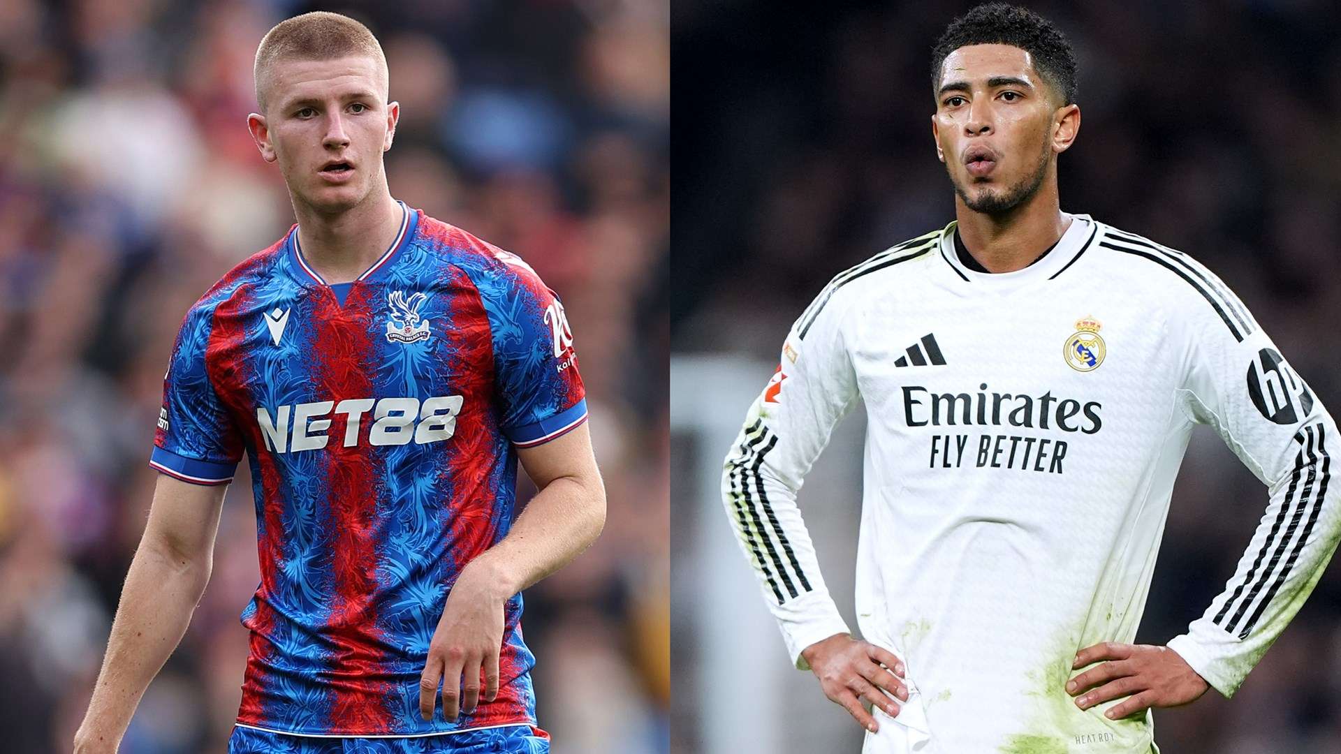 出强劲的竞 出强劲的竞