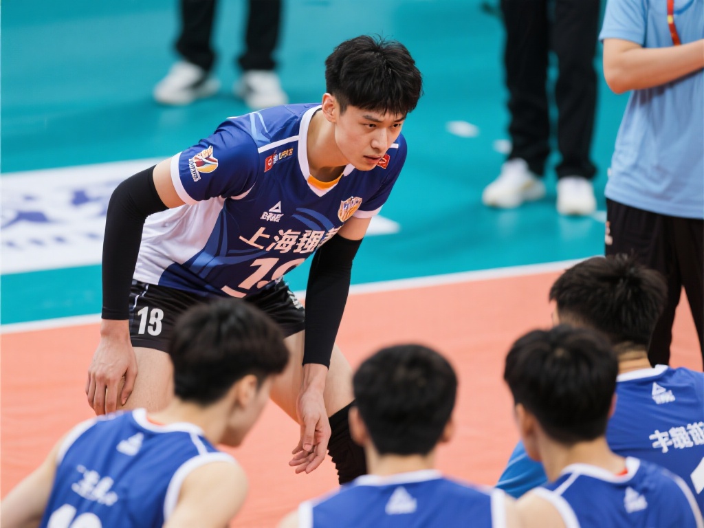 或许将成为 或许将成为